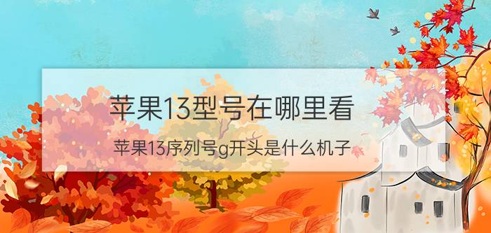 苹果13型号在哪里看 苹果13序列号g开头是什么机子？